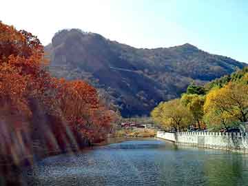 新澳门二四六天天开奖，平陆野猪